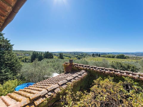 Freezing, Winter, Snow, Larch