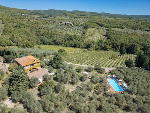 Freezing, Winter, Snow, Larch