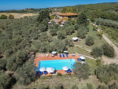 Freezing, Winter, Snow, Larch