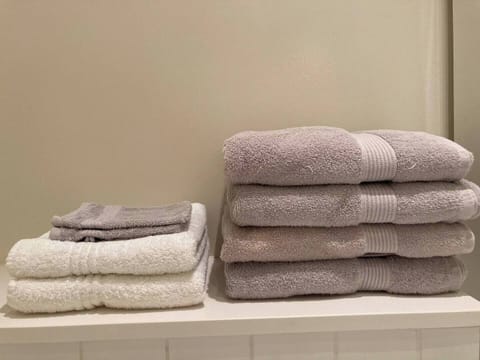 Family Suite, Non Smoking, Canal View | Bathroom | Hair dryer, towels, soap, shampoo