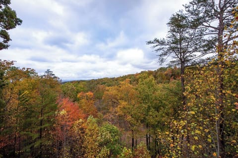 Views from Raccoon Heaven's relaxing deck