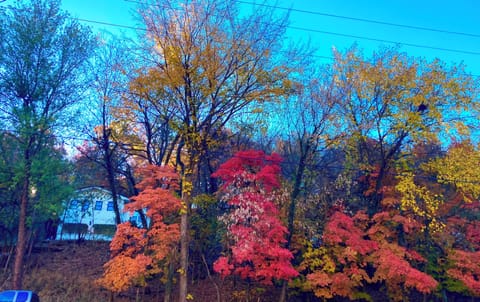 Fall Photo of Home