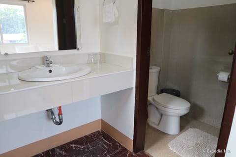 Shower, free toiletries, hair dryer, bidet