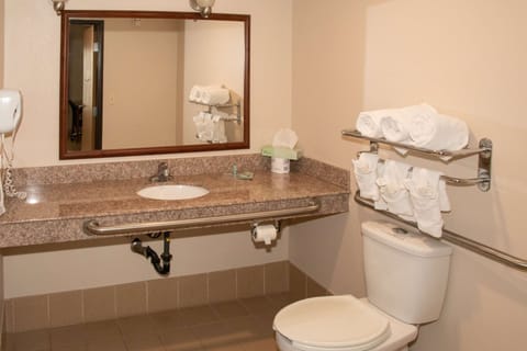 Combined shower/tub, free toiletries, hair dryer, towels