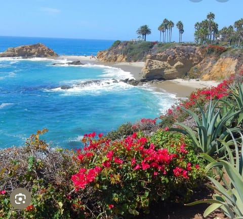 Laguna Beach - "The Real Orange County" World Famous! 10 min away.