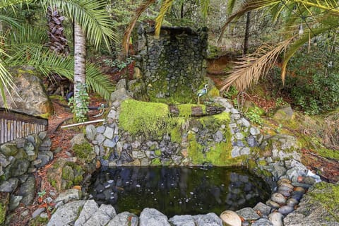 Nature, Outdoors, Pond, Water, Garden