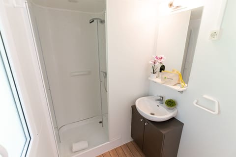 Standard Mobile Home | Bathroom | Shower, bidet, towels, toilet paper