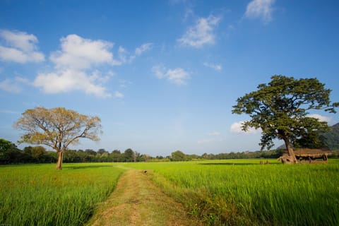 Land view from property