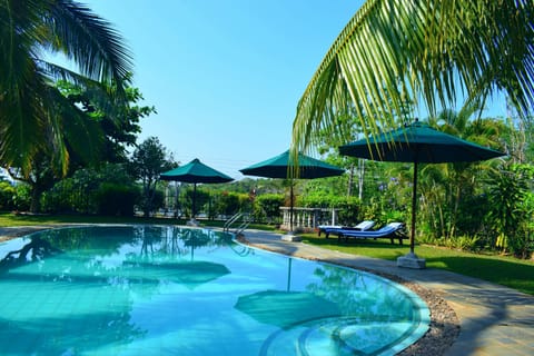 Outdoor pool, sun loungers