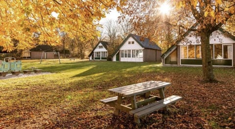 Bungalowpark Simpelveld - Delta 139 - outside