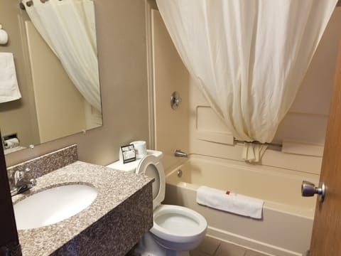 Combined shower/tub, free toiletries, hair dryer, towels