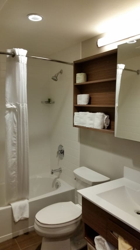 Suite, 1 Queen Bed, Kitchen (Shower only)  | Bathroom | Free toiletries, hair dryer, towels