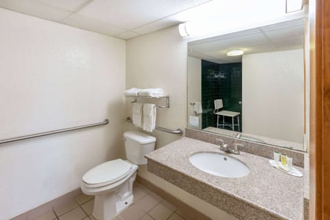 Accessible bathroom