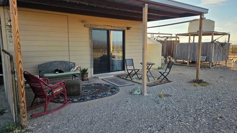 "Best Western Drifter" resident kitty, cat napping on the back porch