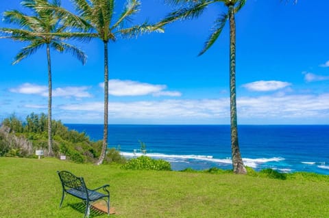 5 Stunning oceanfront location