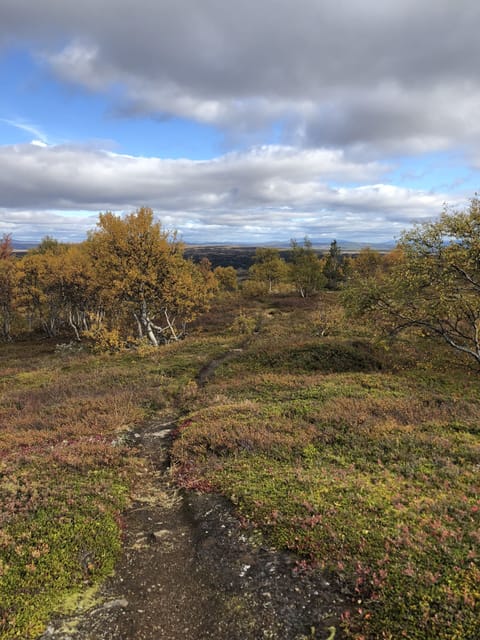 Hiking