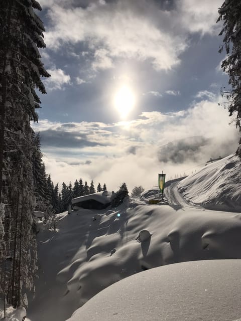 Snowshoeing