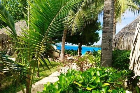 Beach/ocean view