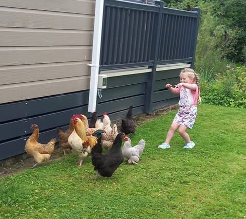 Cabin, 3 Bedrooms, Smoking, Balcony | Miscellaneous