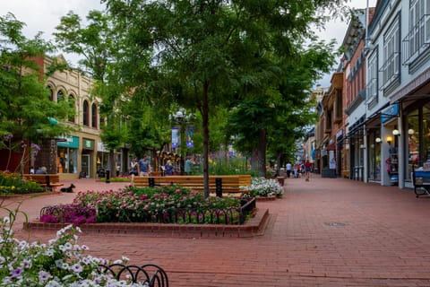 Pearl Street Mall Summer