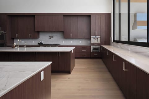 Chef's kitchen with all the bells and whistles