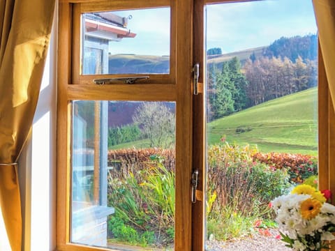 View | Foel Newydd, Hirnant, near Penybontfawr