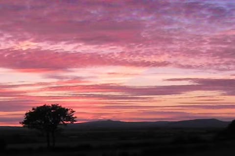 Immediate Surroundings [summer] (<1 km)