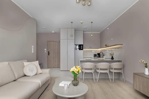 The spacious living area connects to a functional kitchenette.