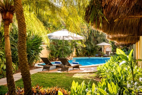 Outdoor pool, pool umbrellas, sun loungers