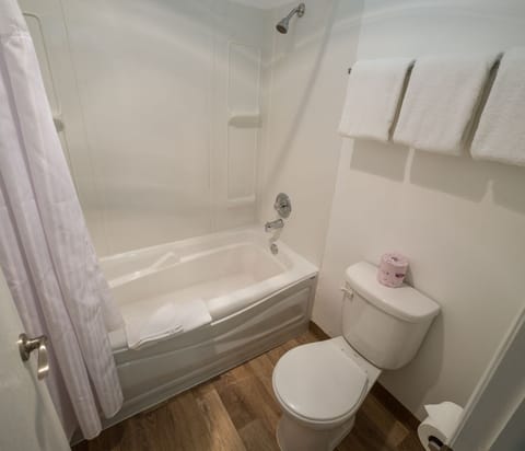 Family Room | Bathroom | Combined shower/tub, hair dryer, towels