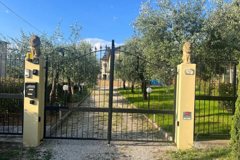 View from the main gate with olive trees lining the path