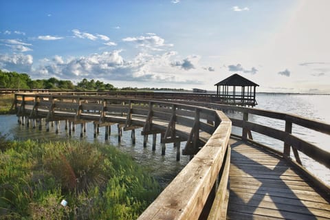 Surroundings [summer] (1-5 km)