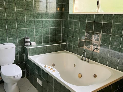 Deluxe Apartment | Bathroom | Shower, free toiletries, hair dryer, towels