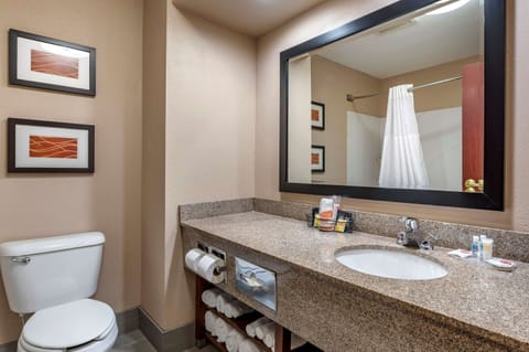 Premium bedding, desk, iron/ironing board, free cribs/infant beds