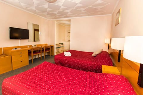 Standard Twin Room | Desk, iron/ironing board, free WiFi, alarm clocks