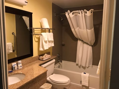 Combined shower/tub, free toiletries, hair dryer, towels