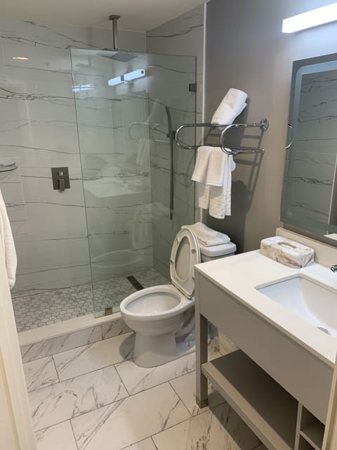 Combined shower/tub, free toiletries, hair dryer, towels