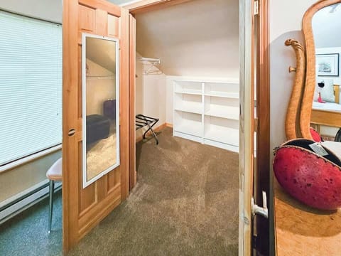 Master walk in closet.