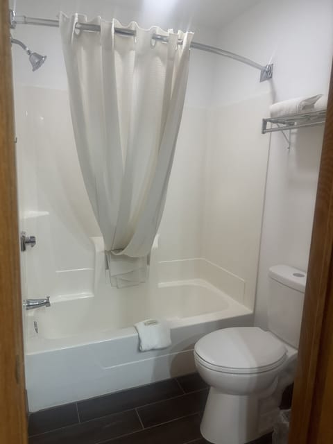 Combined shower/tub, free toiletries, hair dryer, towels