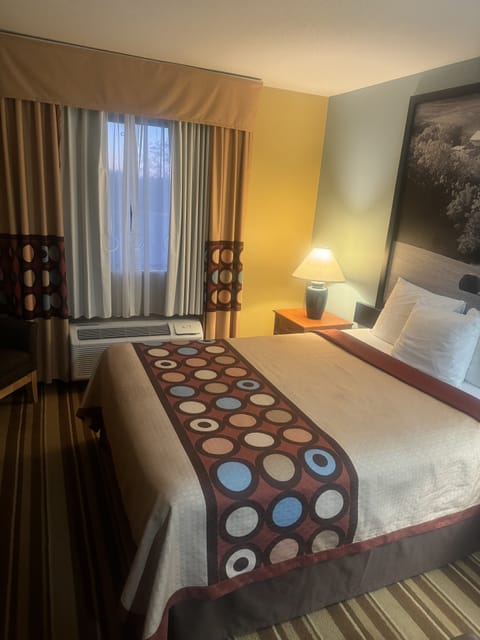 Room, 1 Queen Bed, Accessible, Non Smoking (Mobility Accessible) | In-room safe, individually decorated, individually furnished, desk