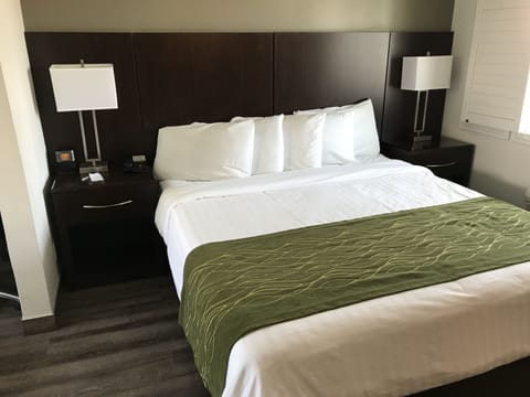 Deluxe Room, 1 King Bed | Premium bedding, down comforters, iron/ironing board, free WiFi