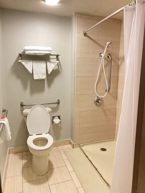 Combined shower/tub, free toiletries, towels