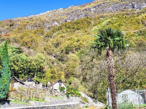 Blue, Residential Area, Suburb, Estate, Landscaping, Hedge