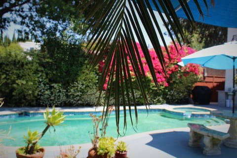 Outdoor pool, pool umbrellas, sun loungers