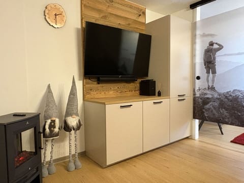 Furniture, Interior Design, Wood, Flooring, Floor, Television, Room, Television Set, Lighting