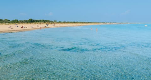 Apartment, 2 Bedrooms, City View | Exterior