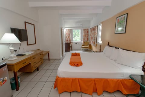 Standard Room, 1 King Bed | In-room safe, desk, rollaway beds, free WiFi