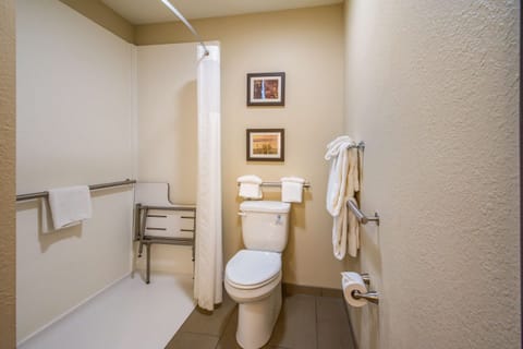 Room, 1 Queen Bed, Accessible, Non Smoking | Bathroom | Combined shower/tub, hair dryer, towels