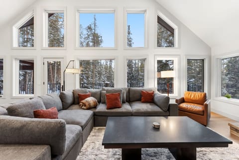 Living Area: Fireplace, TV, and walk out deck area.