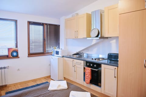 Economy Studio (for 2 people) | Private kitchenette | Fridge, microwave, oven, stovetop